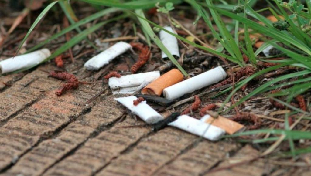 В Великобритании запретили ментоловые сигареты: действительно ли они так опасны