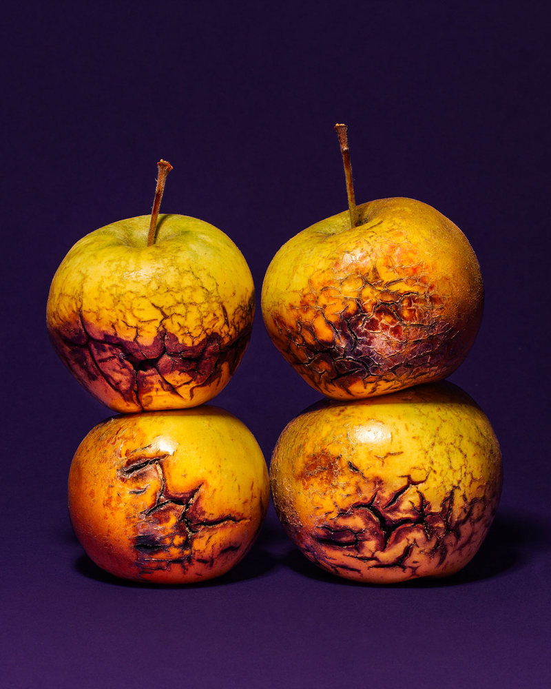 Наливные, сладкие, без названия: писатель исследовал и фотографировал яблоки по всему миру для своего романа