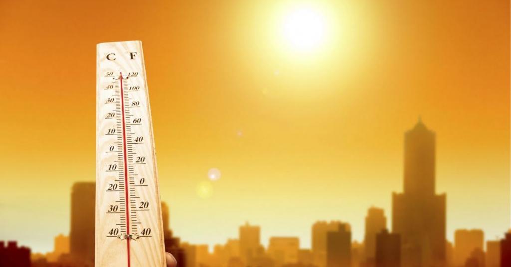2019 год стал вторым самым жарким годом за последние 140 лет, завершив самое теплое десятилетие в истории