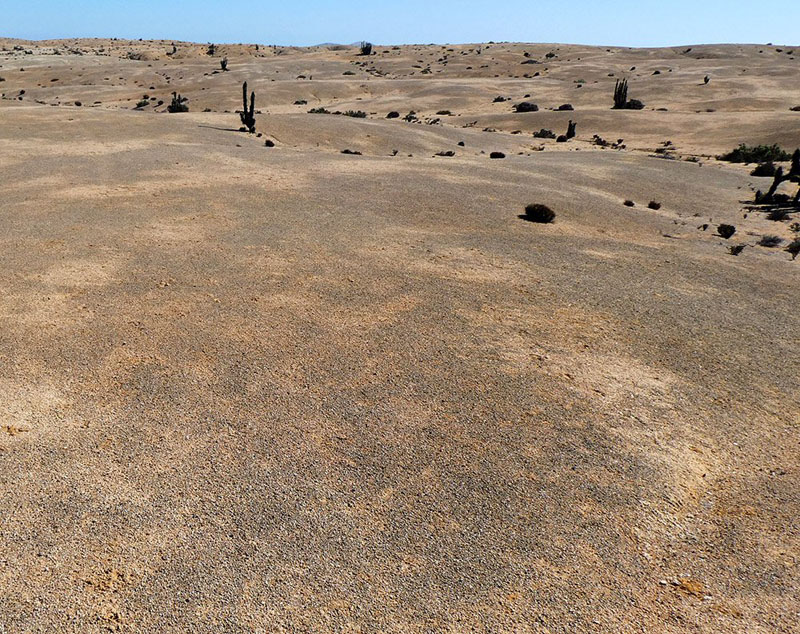 Ученые нашли скрытую жизнь в пустыне Атакама: лишайники, водоросли и другие