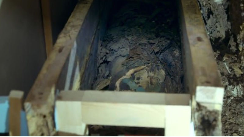 Мечта сбылась: египетский археолог обнаружил неповрежденную мумию в гробнице недалеко от Асуана
