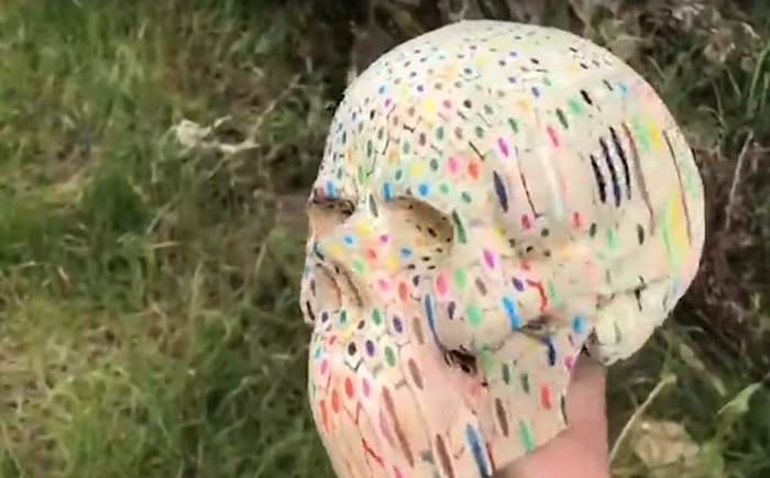 Художник Скотт Найт сделал человеческий череп из 600 разноцветных карандашей (видео)