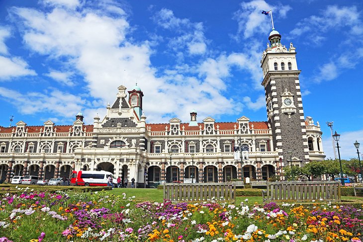 Самые популярные достопримечательности города Данидина (Новая Зеландия): почему для погружения в культуру обязательно нужно посетить музей