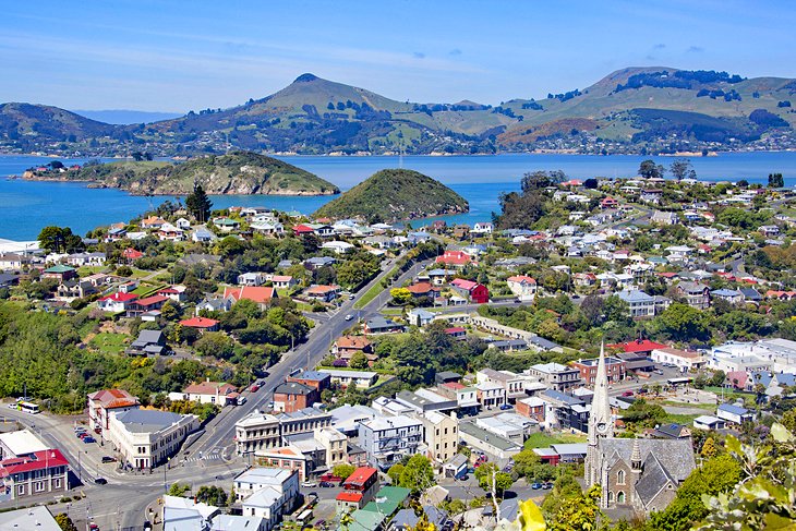 Самые популярные достопримечательности города Данидина (Новая Зеландия): почему для погружения в культуру обязательно нужно посетить музей
