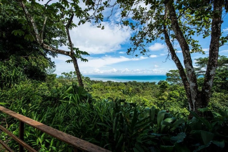 Лучшие курорты Коста-Рики, например "Монтеверде Лодж и Гарденс"