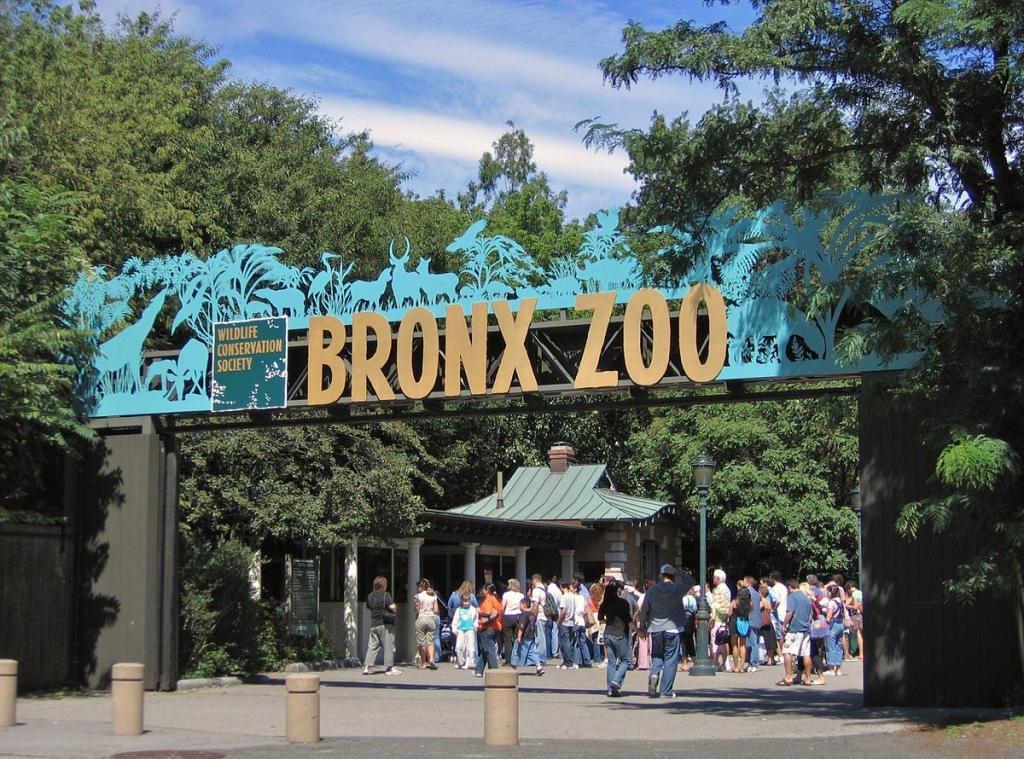 Назвать таракана в честь бывшего: в зоопарке Бронкса запустили акцию к Дню св. Валентина