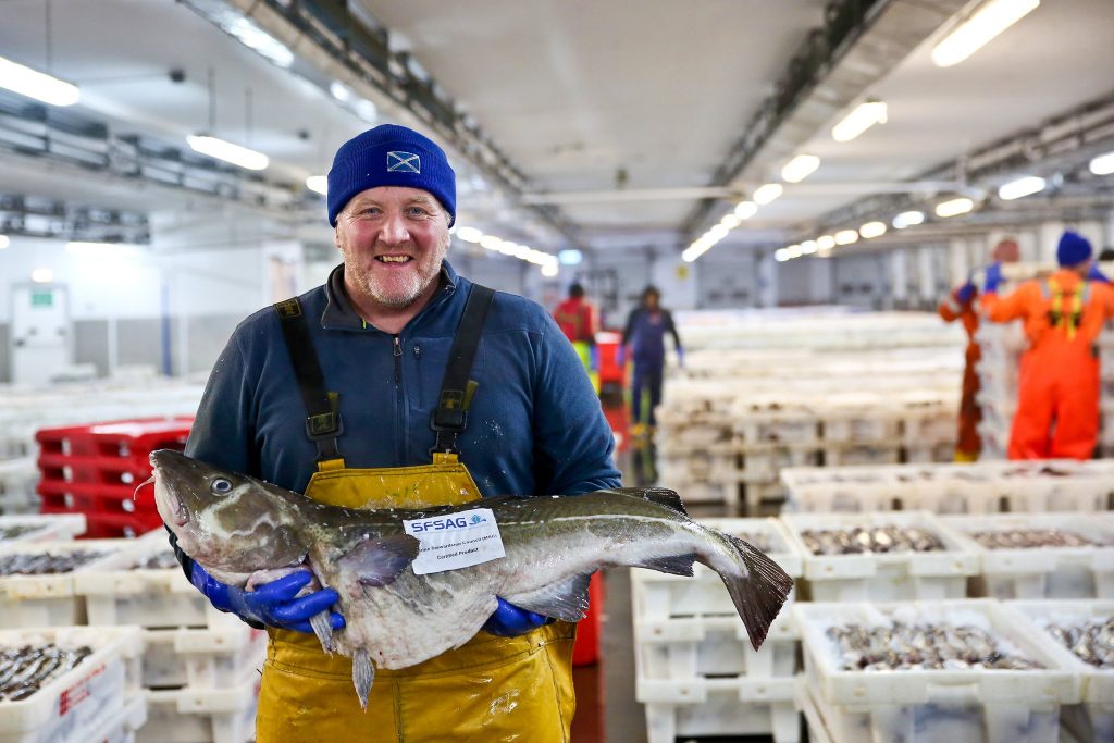 Строительство рыбной фермы в Шотландии не разрешили по одной причине - русалки станут заманивать рыбаков в пучину морскую