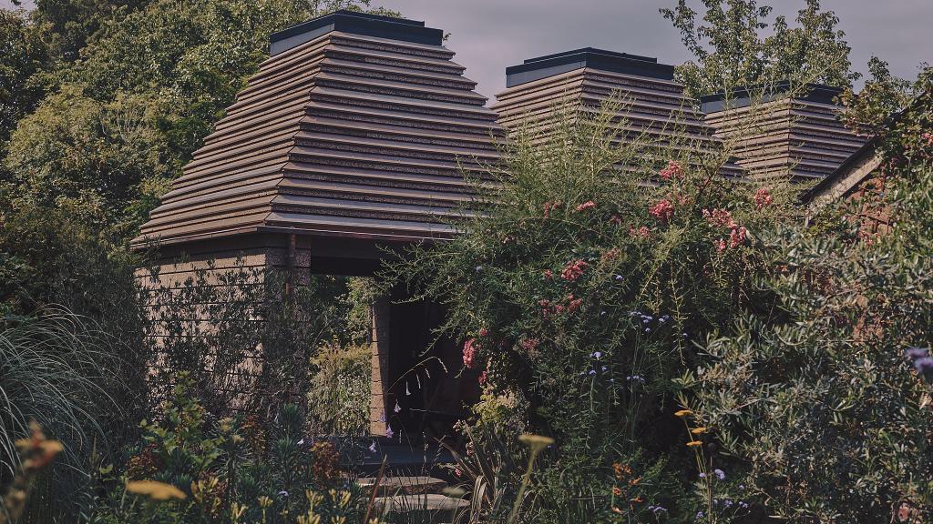 Британцы построили первый в мире экологичный дом из переработанных винных пробок