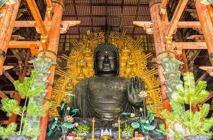 9 самых популярных однодневных поездок из Осаки: почему храмы и дворцы Киото должны увидеть своими глазами все туристы