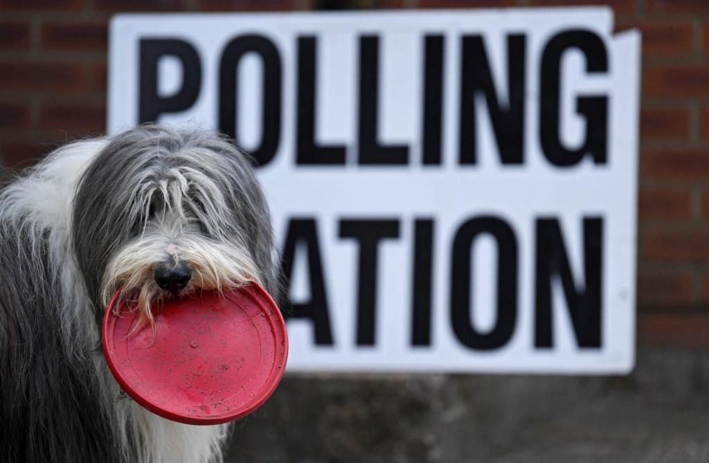 Бюллетень для лошади и собаки: как домашние любимцы британцев ходят вместе с хозяевами на выборы