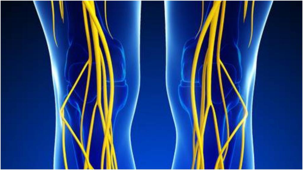 Травма колена имеет последствия для мозга, поэтому полное восстановление очень затруднено