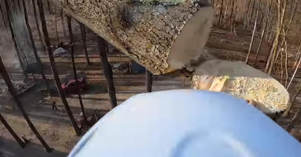Рабочий спилил дерево и заснял на видео то, как оно упало (видео)