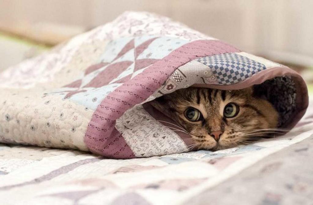 Почему не стоит спать с головой под одеялом при включенном обогревателе