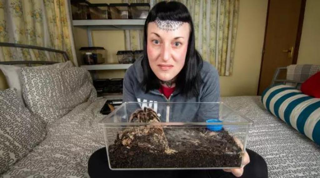 Женщина, всю жизнь боявшаяся пауков, решила побороть свою фобию и увлеклась: теперь у нее в спальне живут 35 тарантулов