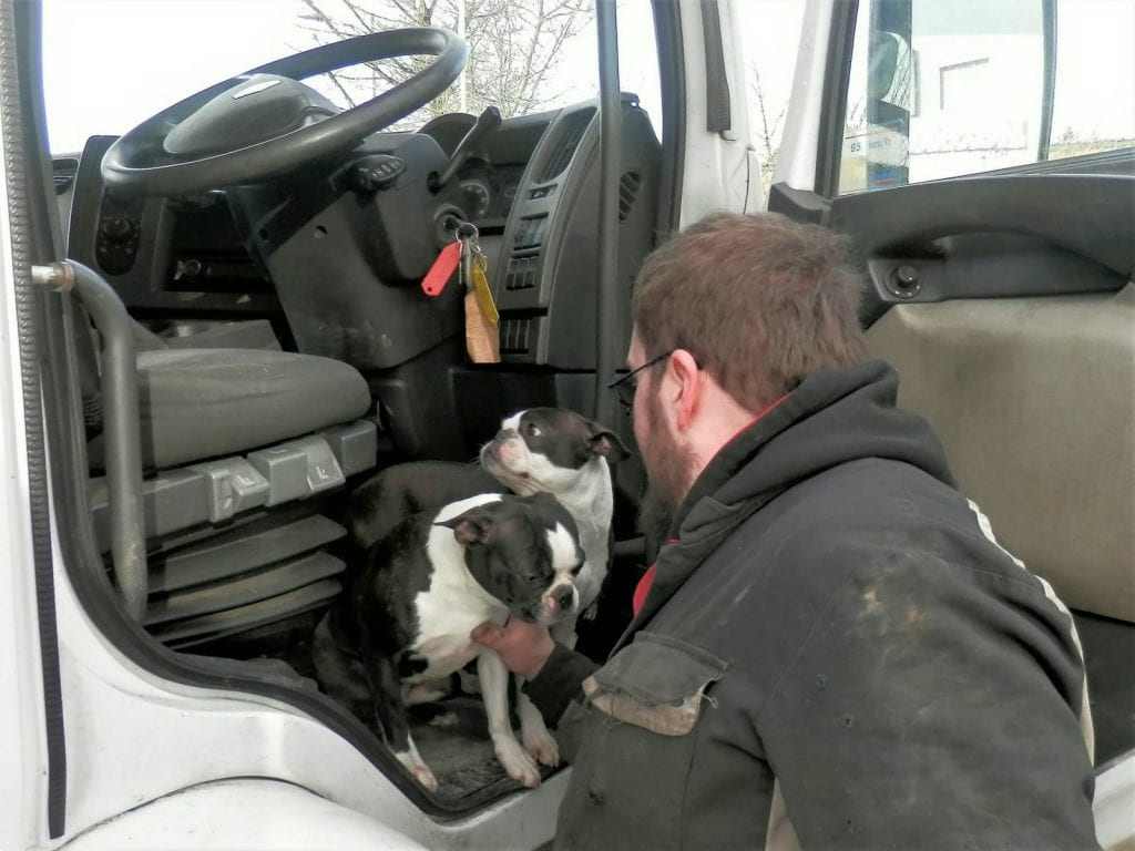 Водитель оставил собак в кабине вместе с ключами: механик пришел на помощь