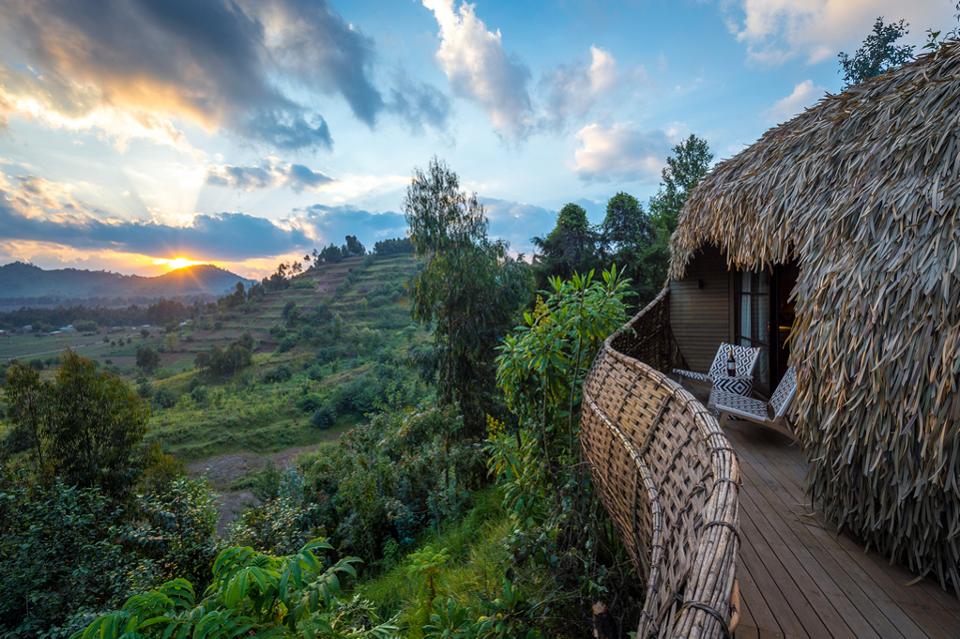 Лучшие места для сафари в Африке в 2020 году: Руанда, Ботсвана и другие направления экотуризма