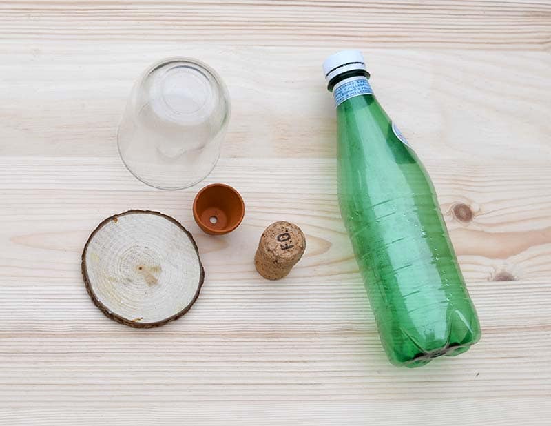 Искусственные суккуленты из пластиковых бутылок: выглядят совсем как настоящие