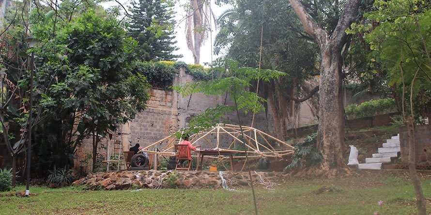 Семья превратила непролазные джунгли в сад с овощами и фруктами: и скоро тут откроется первый в Кении планетарий