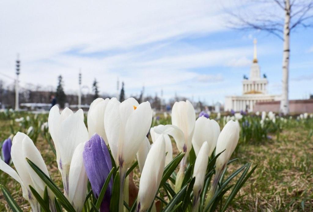 Как сообщил центр погоды "Фобос", в Москве наступила метеорологическая весна