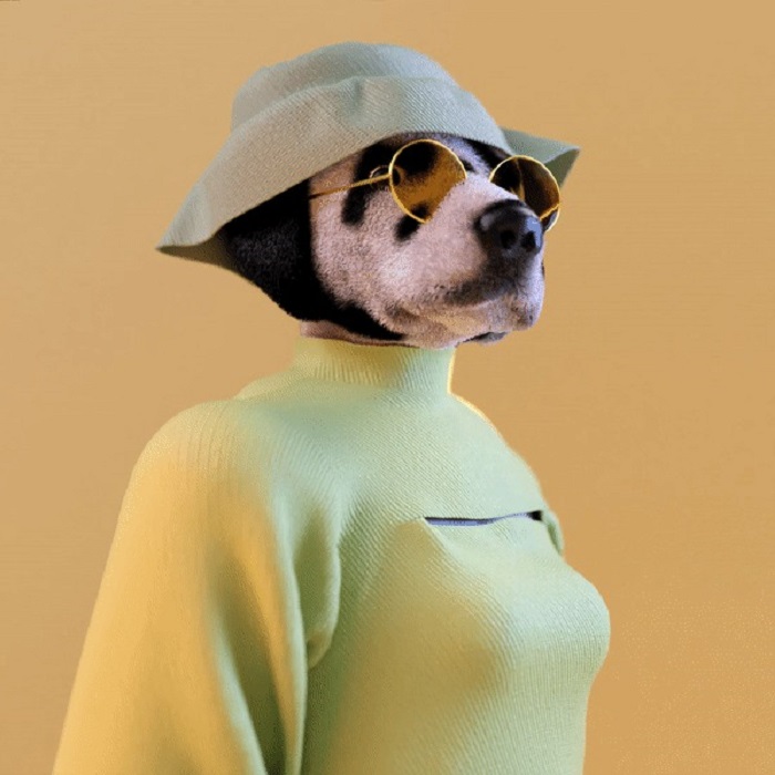 Модные наряды на собак, которые ведут себя как люди: необычная фантазия испанских дизайнеров
