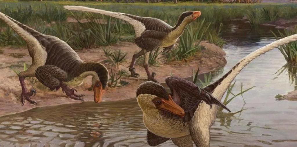 В небе над Сахарой было неспокойно: учёные обнаружили 3 новых вида динозавров