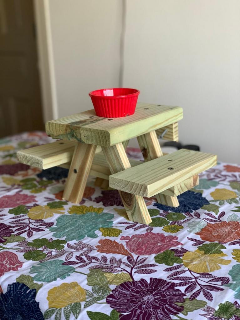 Пикник для белок: мужчина построил крошечный столик для мохнатых гостей на своем заборе