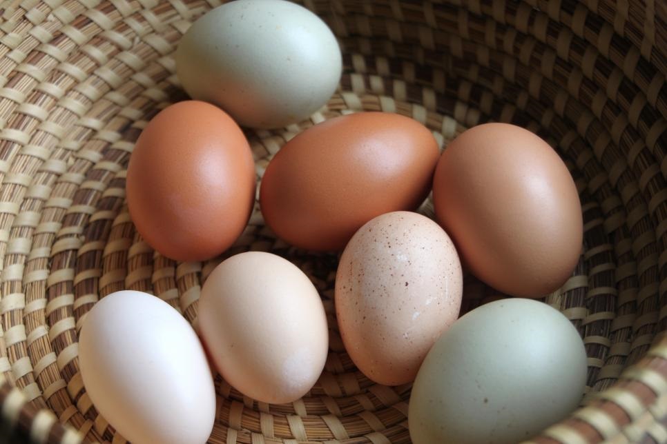 Крашеными яйцами к Пасхе уже никого не удивить: мы с детьми создали праздничный топиарий