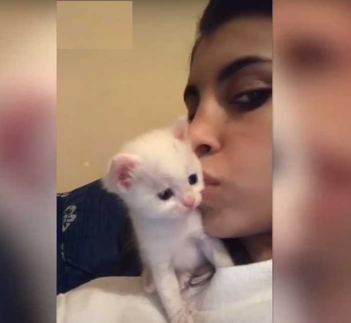 Девушка поцеловала своего котенка: его реакция приятно удивила ее (милое видео)