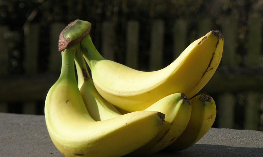 Студент попытался на кассе выдать орехи кешью за бананы, но попытка не была засчитана