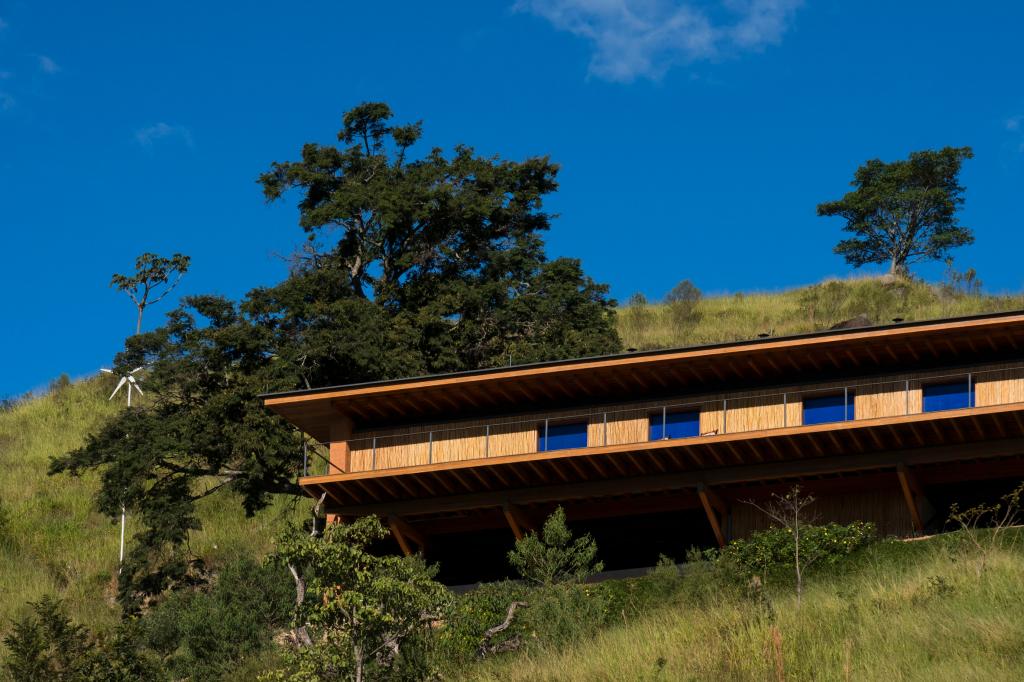 Дизайнеры построили шикарный современный дом, аккуратно вписав его прямо в холм