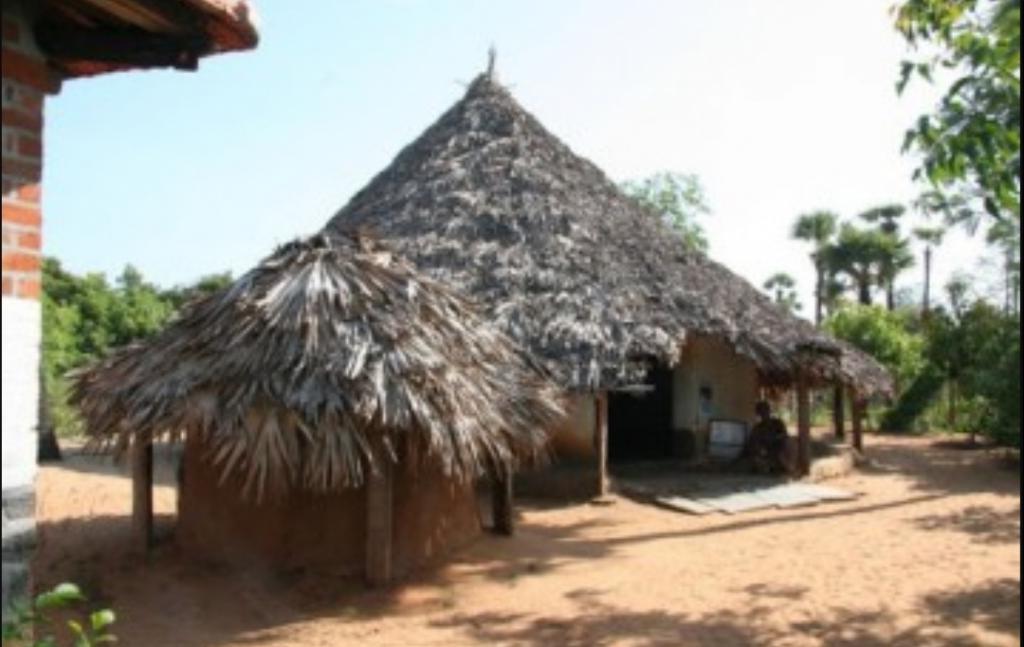 С виду невзрачный домик способен выстоять в суровый циклон: секрет - в особом использовании грязи, извести и бамбука