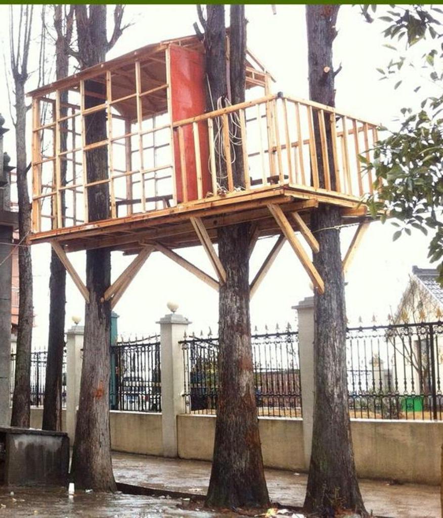 Осуществил детскую мечту. Мужчина построил дом на дереве и в подробностях описал процесс строительства