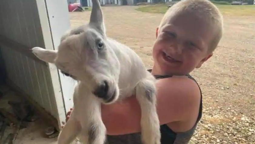Злоумышленники украли с фермы козлят, но после трогательного поста в Facebook вернули их счастливому владельцу