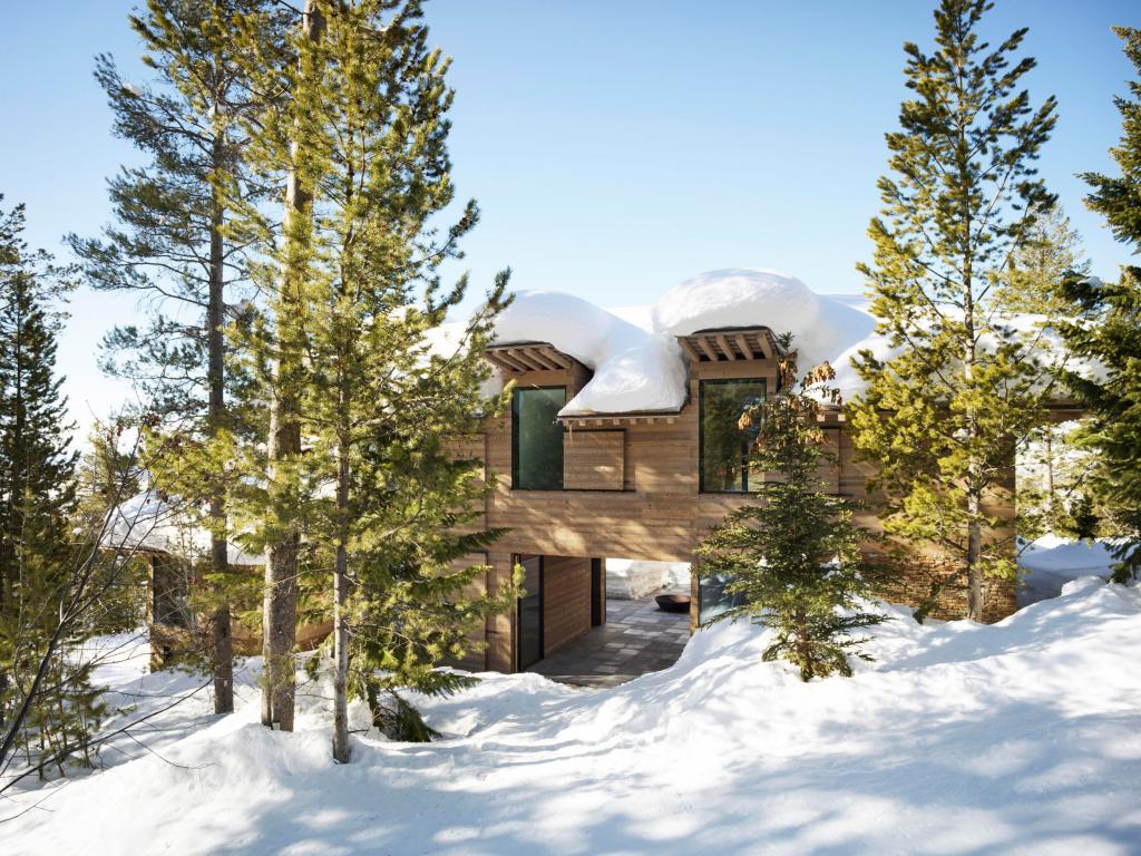Архитекторы установили большие деревянные ставни на фасаде дома в горной местности, чтобы адаптировать его к меняющимся погодным условиям (фото внутри и снаружи)