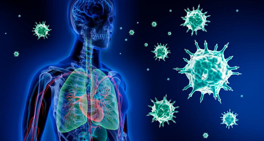 "Стадный" иммунитет не работает: исследования доказывают, что антитела вырабатываются только у 5 % переболевших
