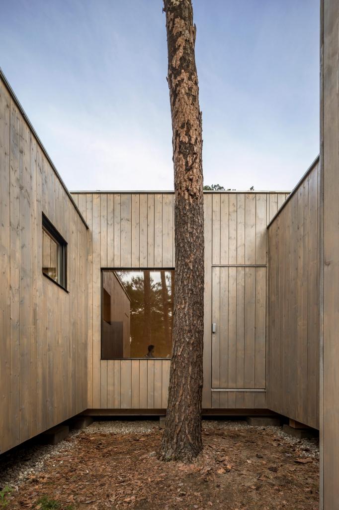 Архитектурная студия построила деревянный дом из 5 блоков, чтобы вписать его в расположение сосен в лесу: красиво и с заботой о природе