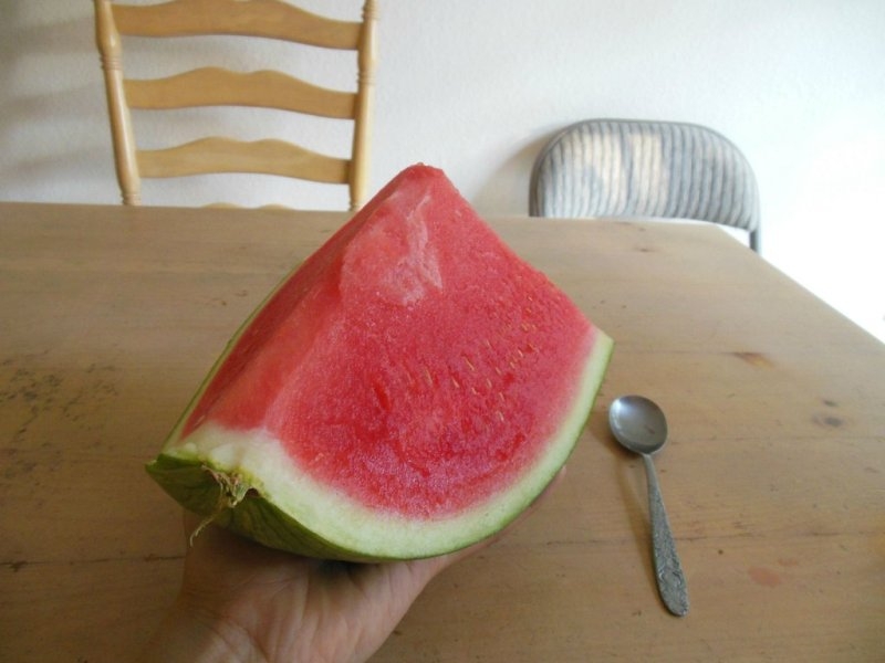 Разрезали арбуз: как долго можно хранить его, чтобы потом съесть без вреда для здоровья (слишком крупные ягоды я вообще не советую оставлять на потом)
