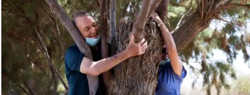 Сделайте вдох и обнимите дерево: израильтяне обнимают деревья, чтобы заполнить пустоту