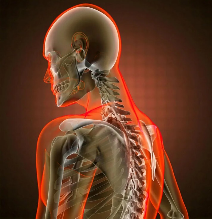 Здоровая шея - залог долголетия без гипертонии: 5 легких упражнений, которые нужно выполнять каждому (особенно тем, кто ведет сидячий образ жизни)