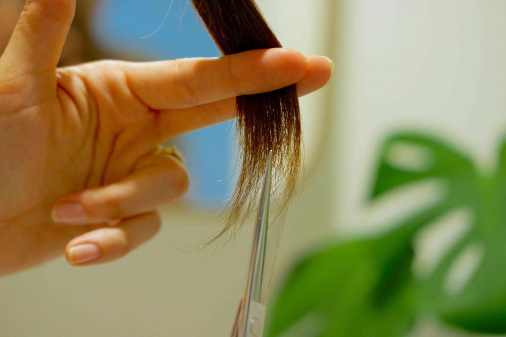 Как подстричься дома: главное сделать хвост по центру головы, как у единорога