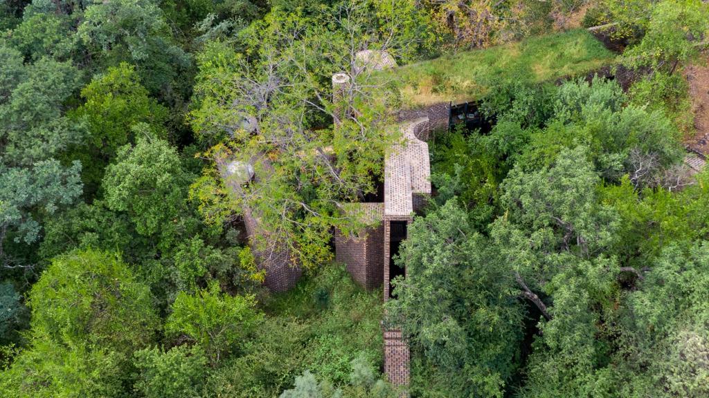 Дизайнеры спрятали узкий, как ниточка, дом в южноафриканском лесу. Как он выглядит внутри