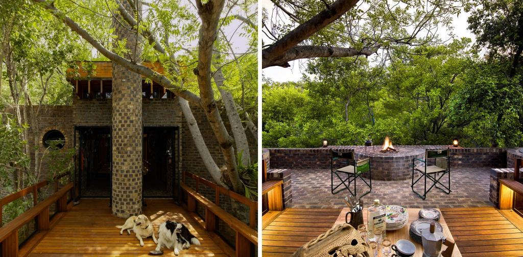 Дизайнеры спрятали узкий, как ниточка, дом в южноафриканском лесу. Как он выглядит внутри