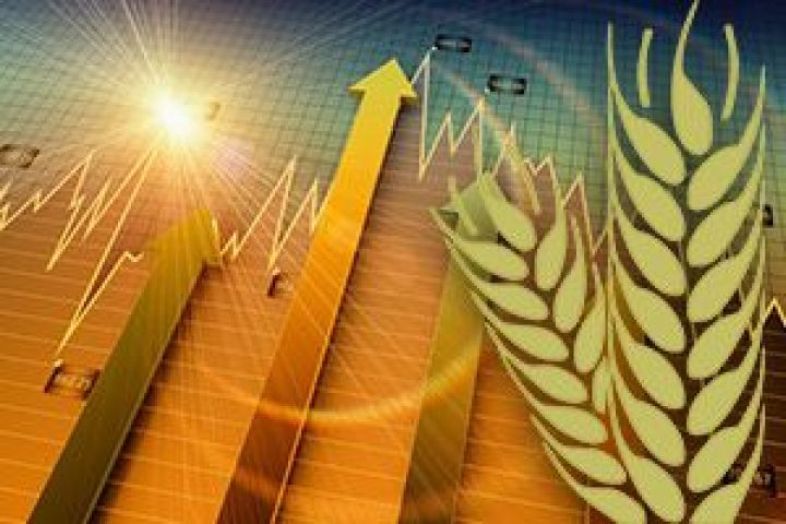 Многоэтажка для пшеницы: американцы нашли способ выращивать в 600 раз больше зерна
