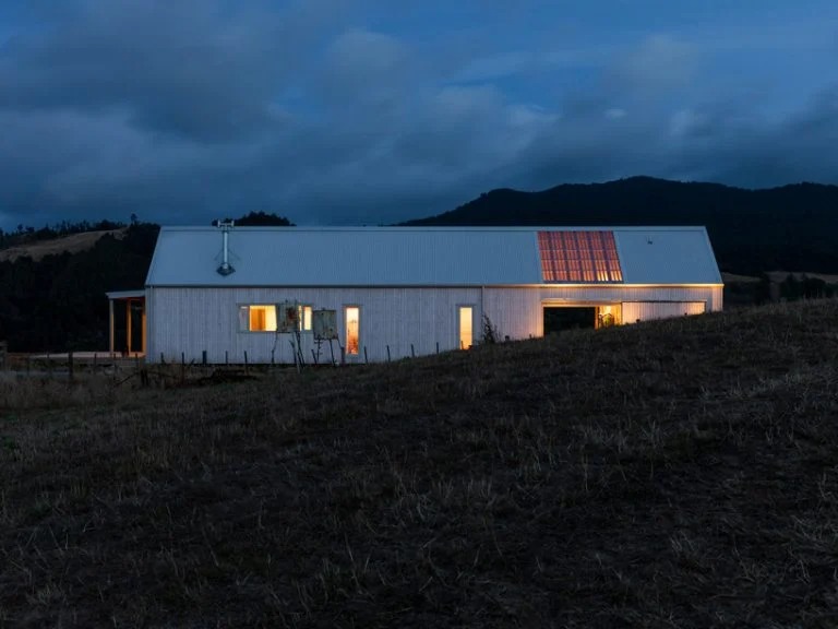 Архитектурная фирма собрала просторный жилой дом в Новой Зеландии всего за 4 дня: работники избегали расточительных и трудных строительных процессов (фото)