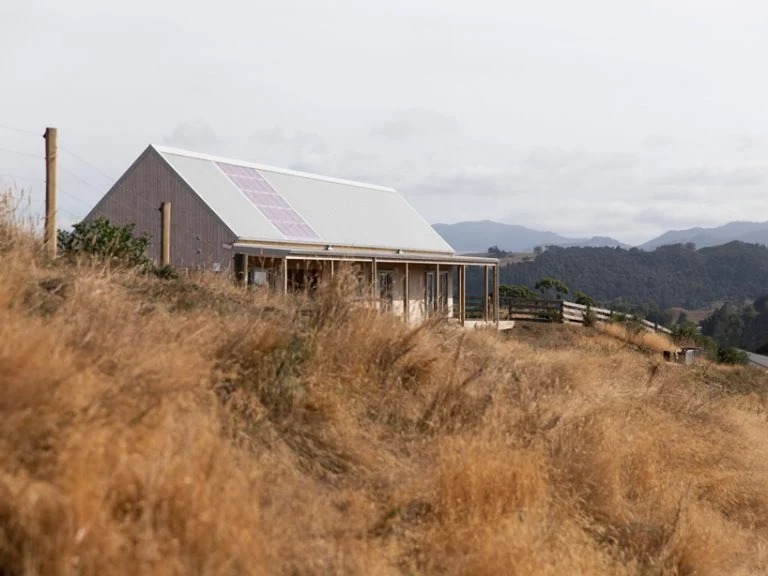 Архитектурная фирма собрала просторный жилой дом в Новой Зеландии всего за 4 дня: работники избегали расточительных и трудных строительных процессов (фото)