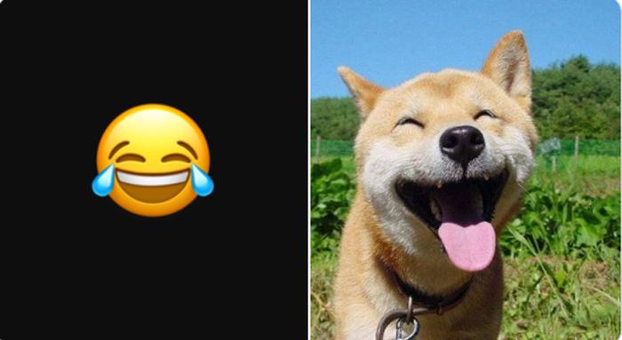 Под настроение: новая ветка в Twitter, в которой сравниваются смайлики и мордочки собак