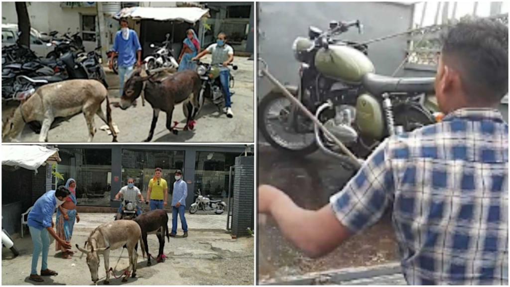 Индиец купил байк Jawa: после того как мотоцикл несколько раз ломался, парень устроил «ослиную акцию протеста»