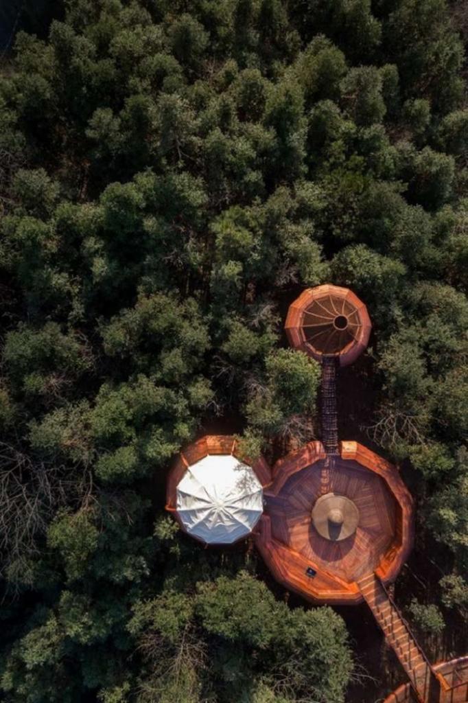 Архитекторы построили курортную виллу в горах Китая: выглядит так, будто НЛО совершил посадку посреди леса