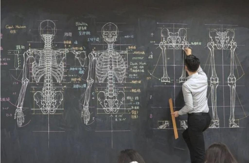 Учитель анатомии стал звездой Интернета из-за своих рисунков. Кажется, он выбрал не ту профессию