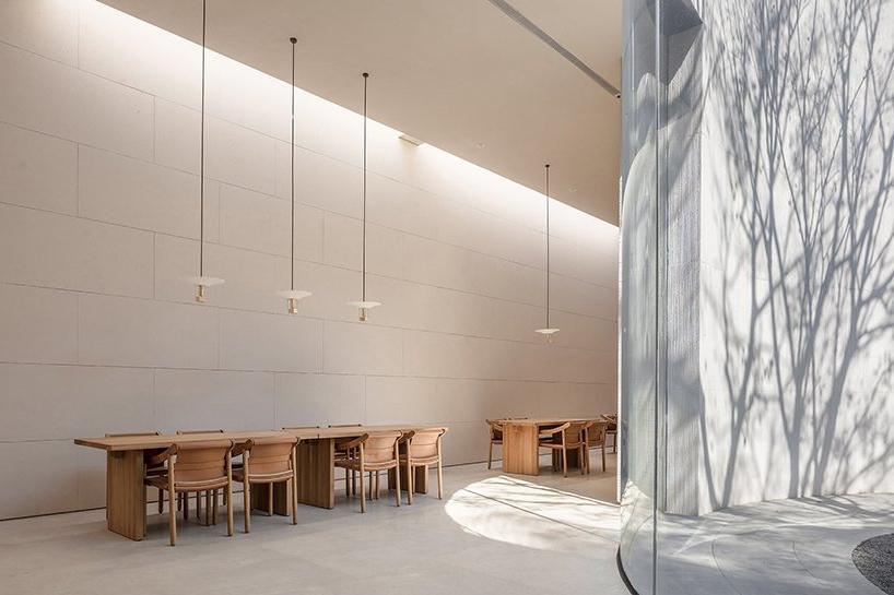 Дизайнеры построили просторное здание вокруг старого дерева в Китае. В новом "музее чая" есть зона для чаепития, отдыха, чтения и ужина